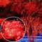Kitcheniva Outdoor Fairy String Lights Christmas Decoration 10M